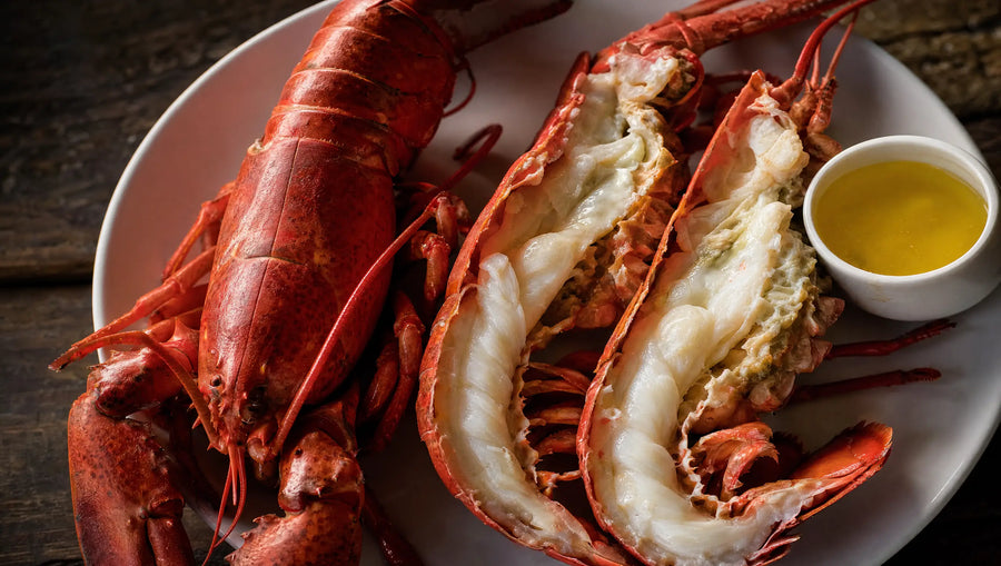 Lobster