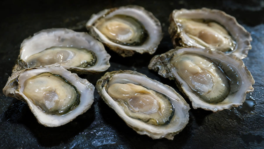 Oysters