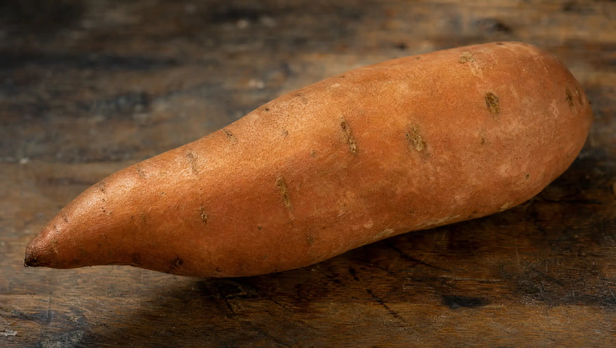 Sweet Potato