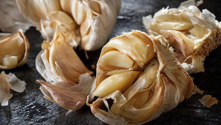 Garlic