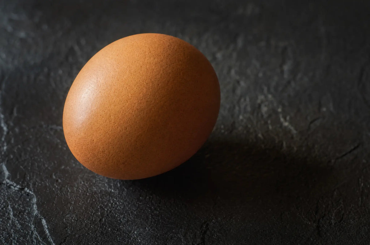 The ATP Energy Cycle: How Food, Oxygen, and Cells Work Together — A single raw egg resting on a dark slate surface, its textured shell catching warm side light against a moody,