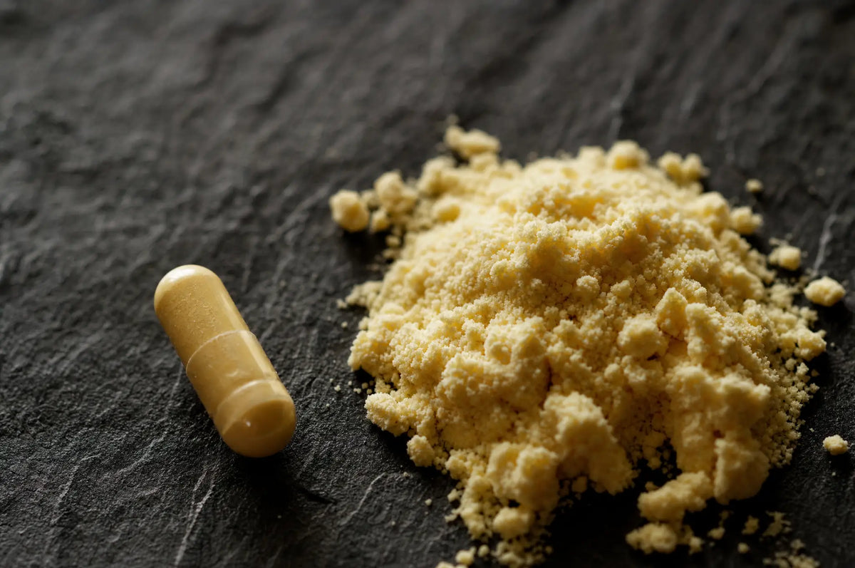 Close-up of a golden colostrum capsule beside a coarse, crumbly mound of yellow colostrum powder on slate