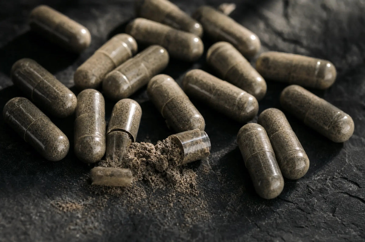 Chelated Minerals Explained: Absorption Without the Hype — Close-up of loose chelated mineral capsules scattered on dark slate, with a single capsule split open revealin