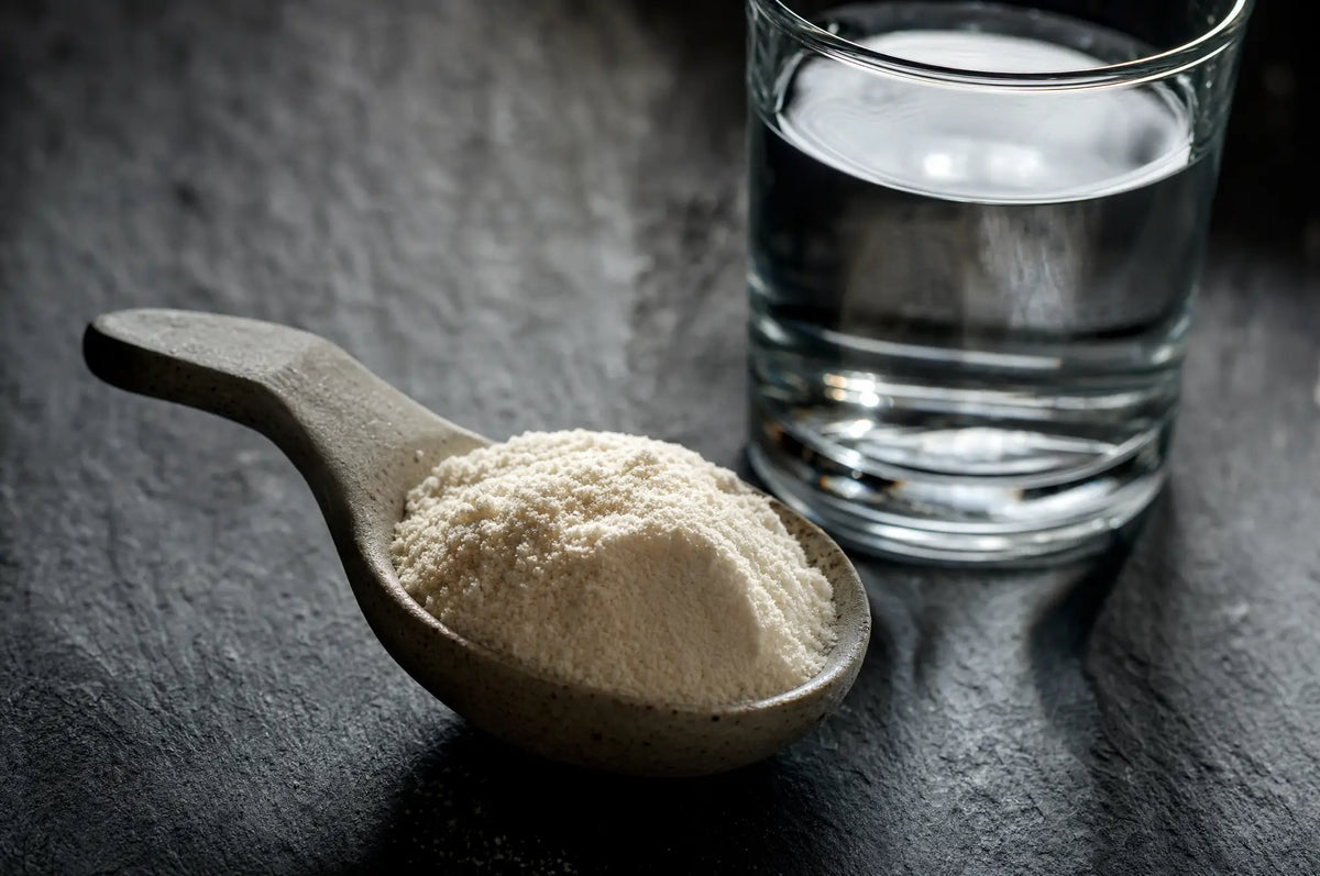 Small mound of unflavored collagen peptide powder in a matte stoneware spoon on dark slate beside a half-full glass of water.