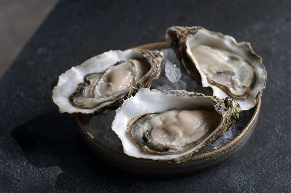 A small dish of oysters on the half shell on dark slate, natural side light casting soft shadows across the shells.