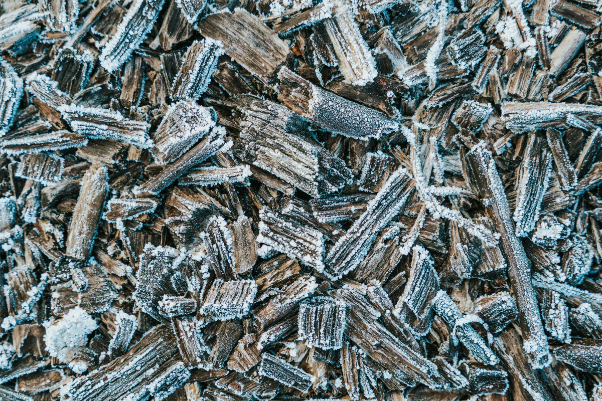 Magnesium Glycinate vs Citrate: Which Form Should You Take?
