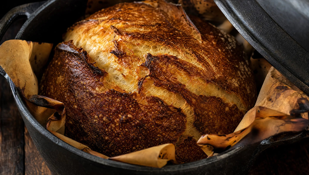 A freshly baked sourdough loaf in a blackened cast-iron dutch oven