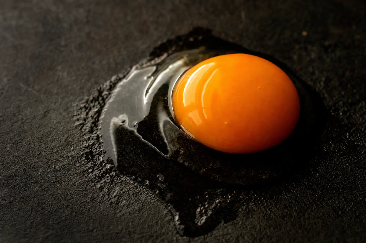 A single raw egg yolk resting on a dark slate surface, its orange-gold dome catching warm side light against deep shadows.