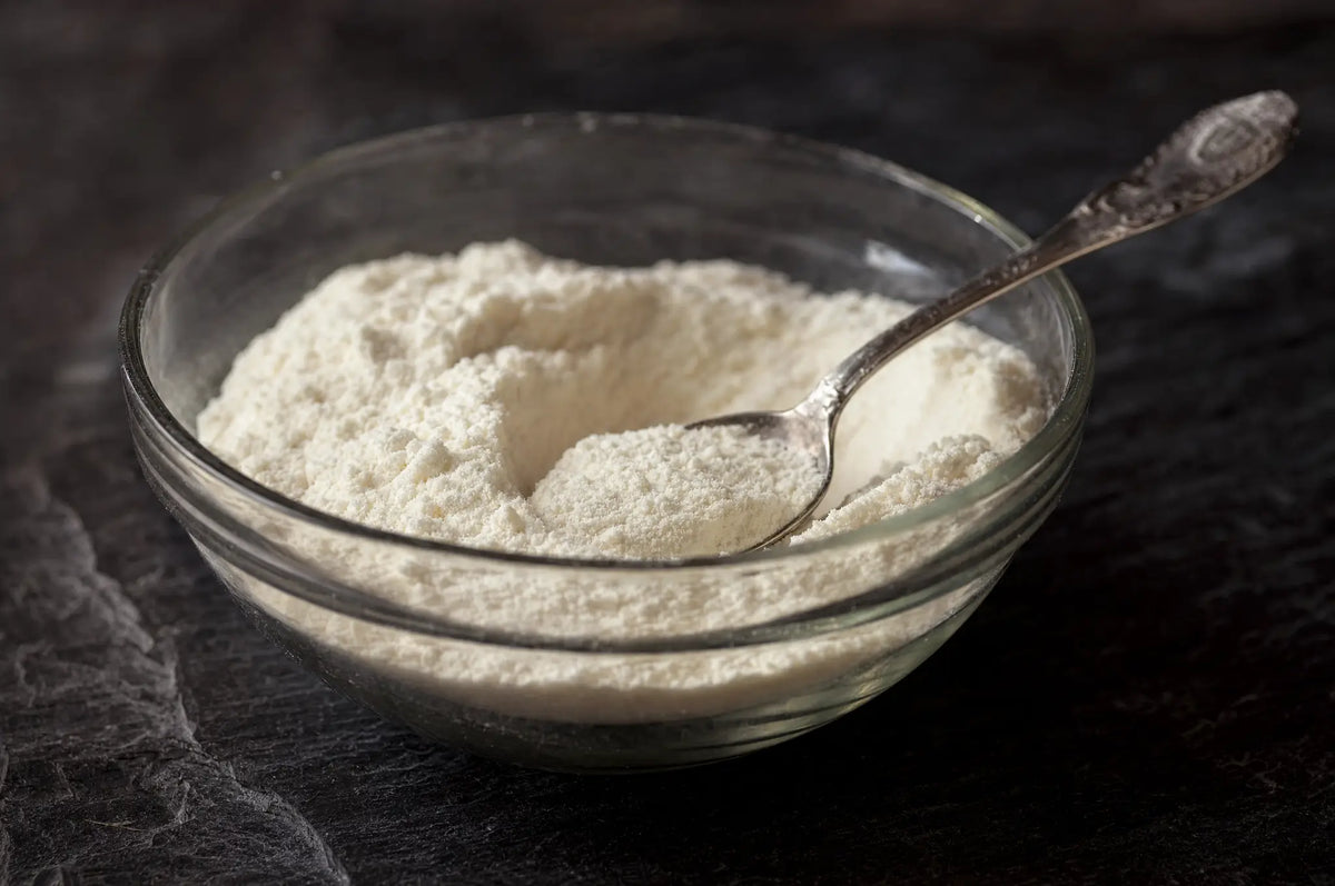 The Molecular Breakdown: Why Peptides Improve Absorption — A small glass bowl of unflavoured whey protein isolate powder resting on a dark slate surface, with a single s