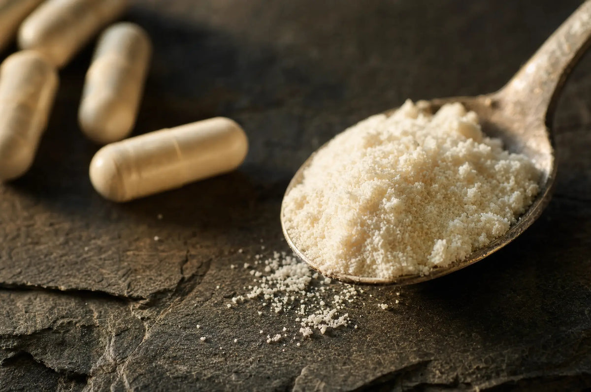 The Science Behind Collagen Dietary Supplements — A spoonful of pale collagen powder rests on a dark slate surface beside a few loose capsules, catching warm na