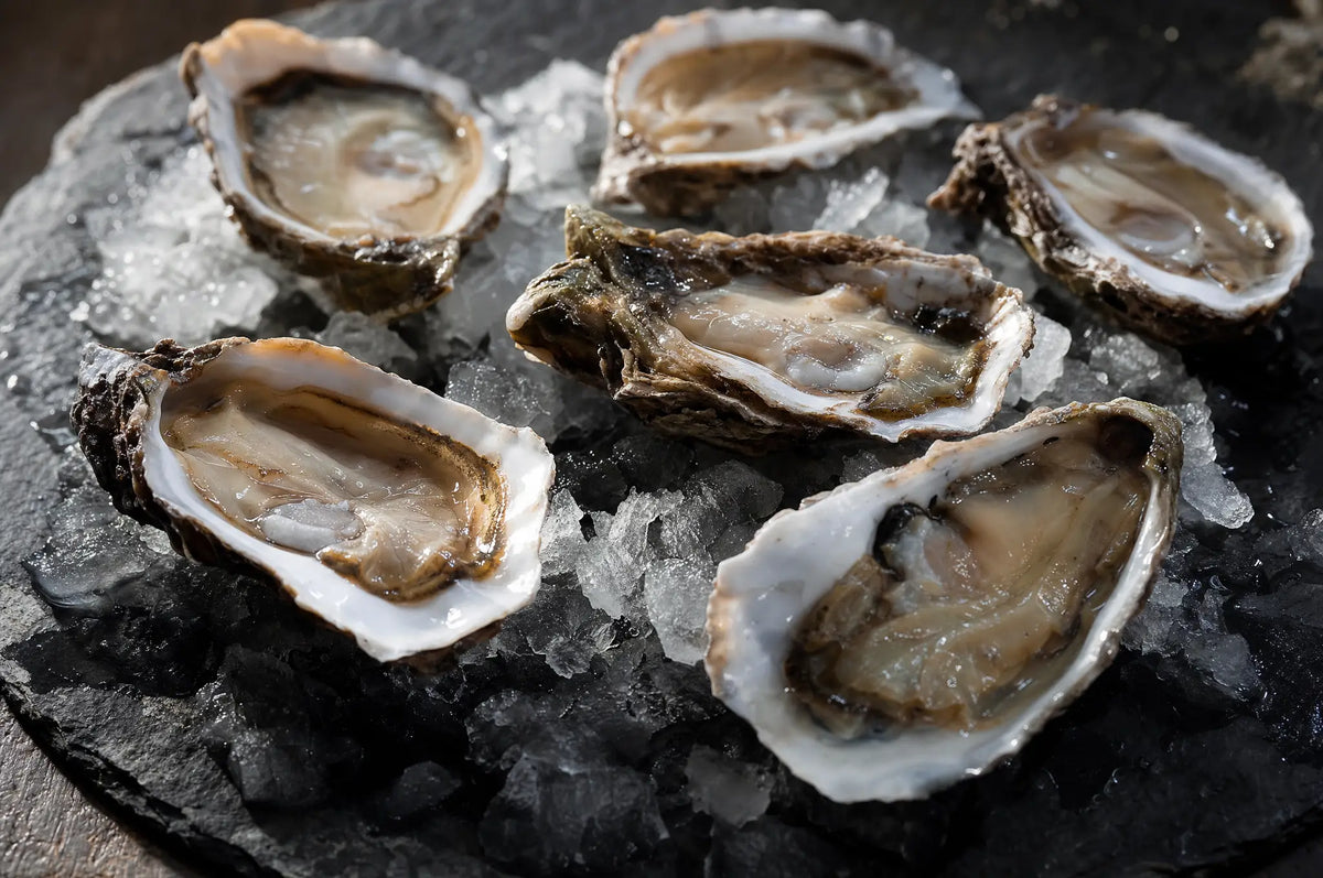 Six raw oysters on crushed ice on dark slate, shells slightly open glistening in moody natural light