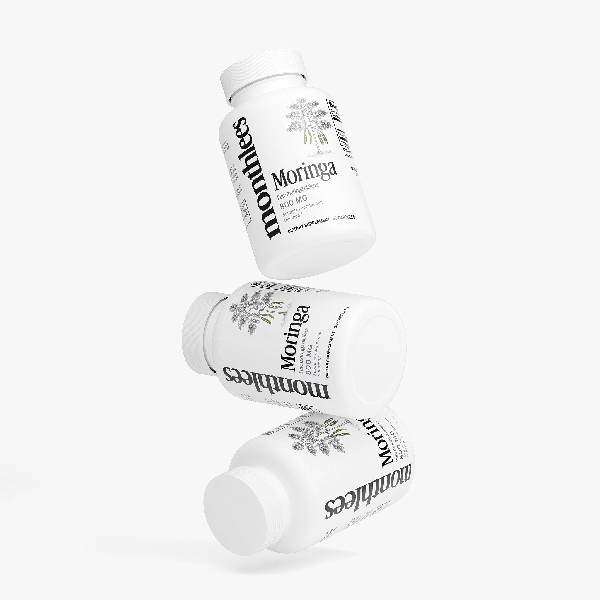 Moringa Oleifera - Member