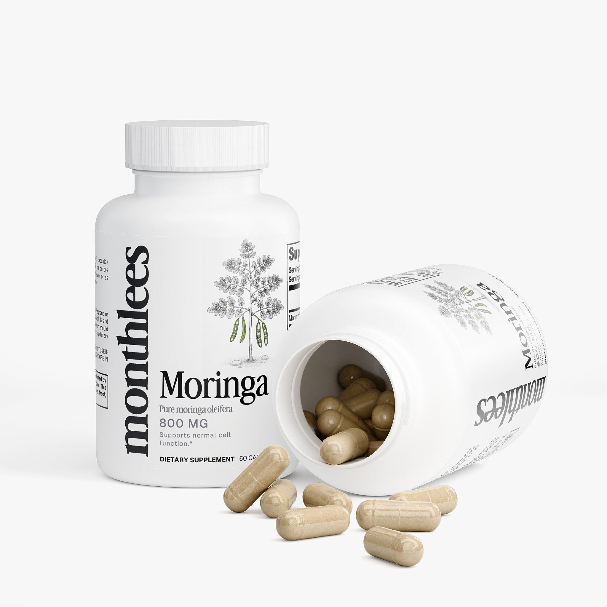 Moringa Oleifera