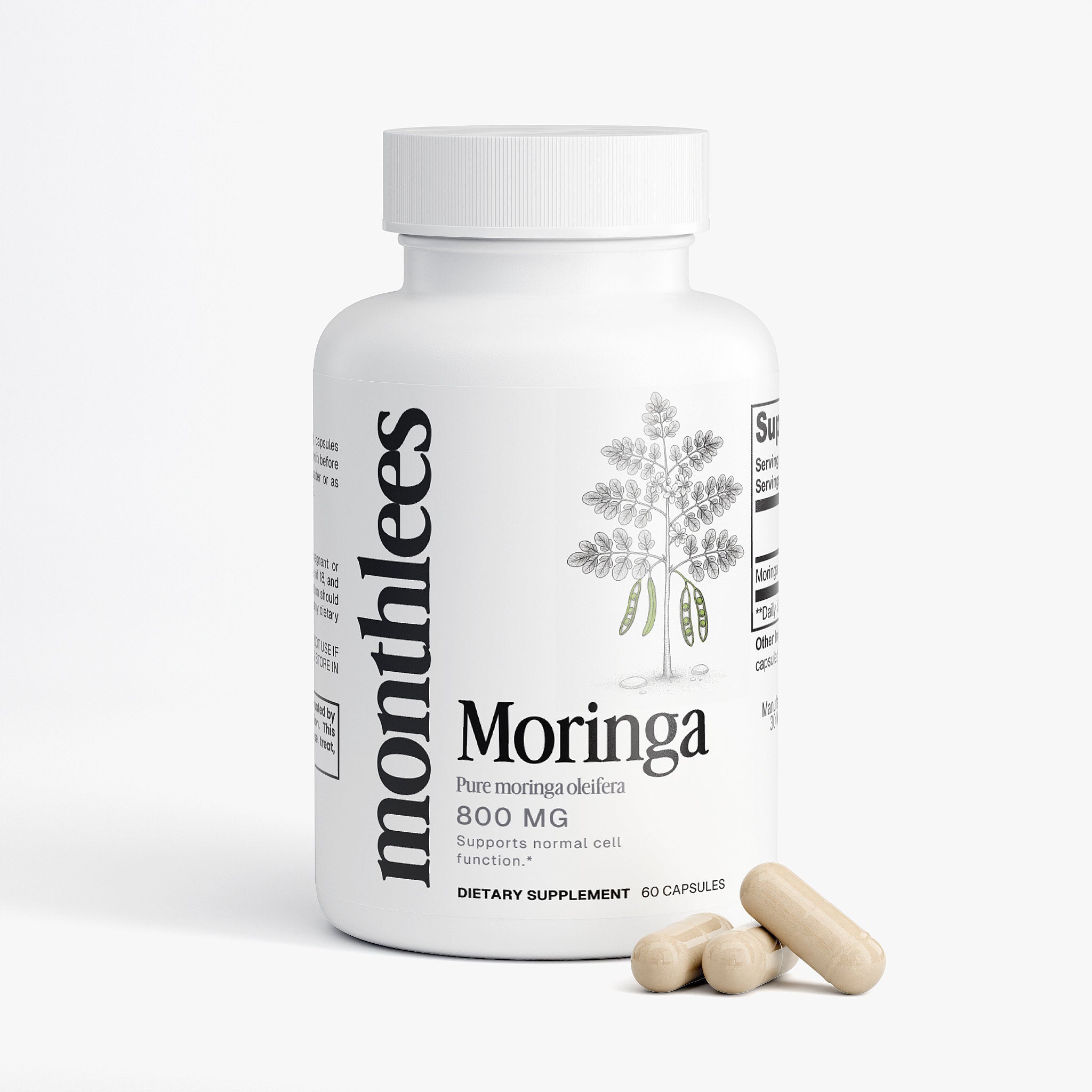 Moringa Oleifera