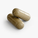 Ginkgo Biloba & Red Panax Ginseng