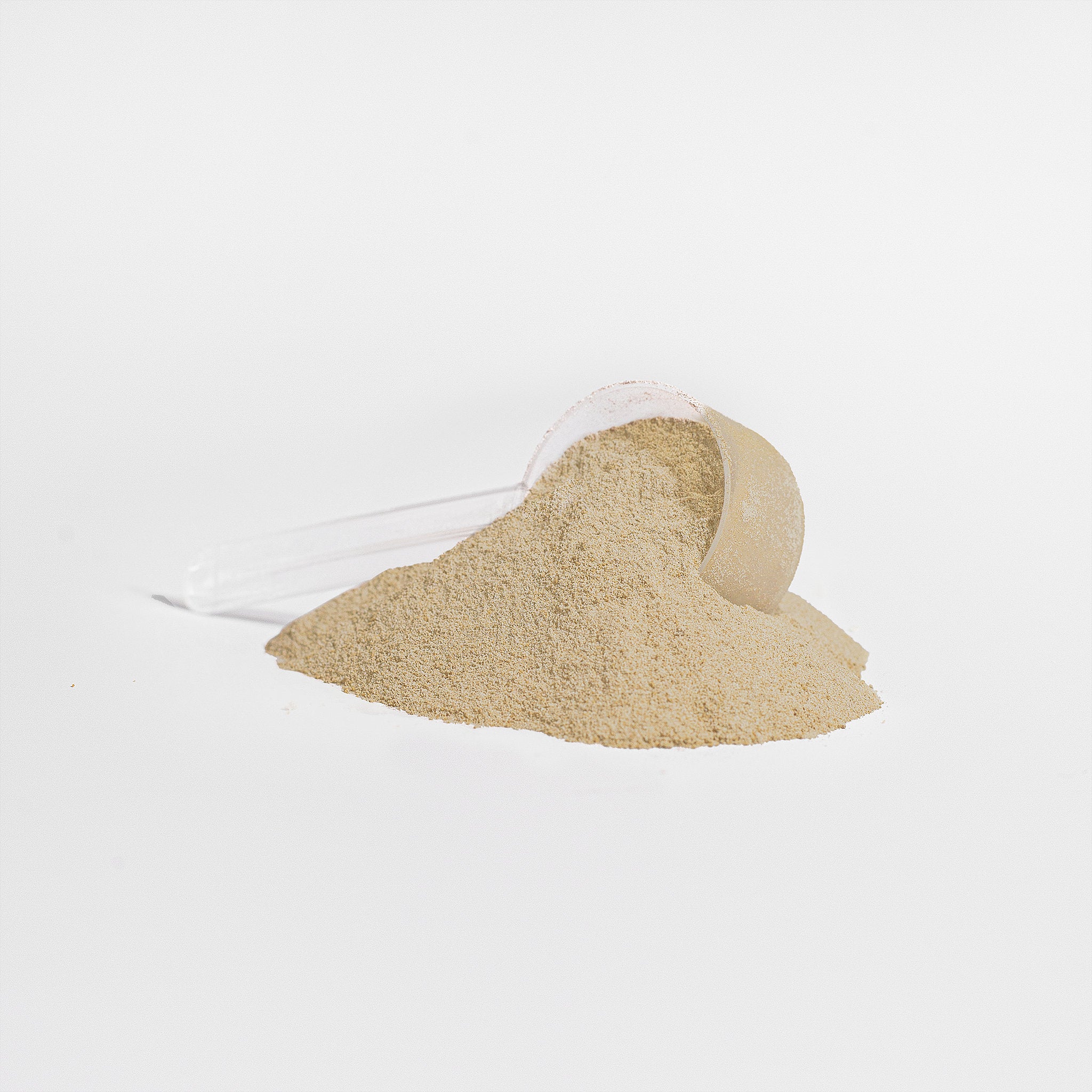 Whey Protein Isolate (Vanilla) - Member