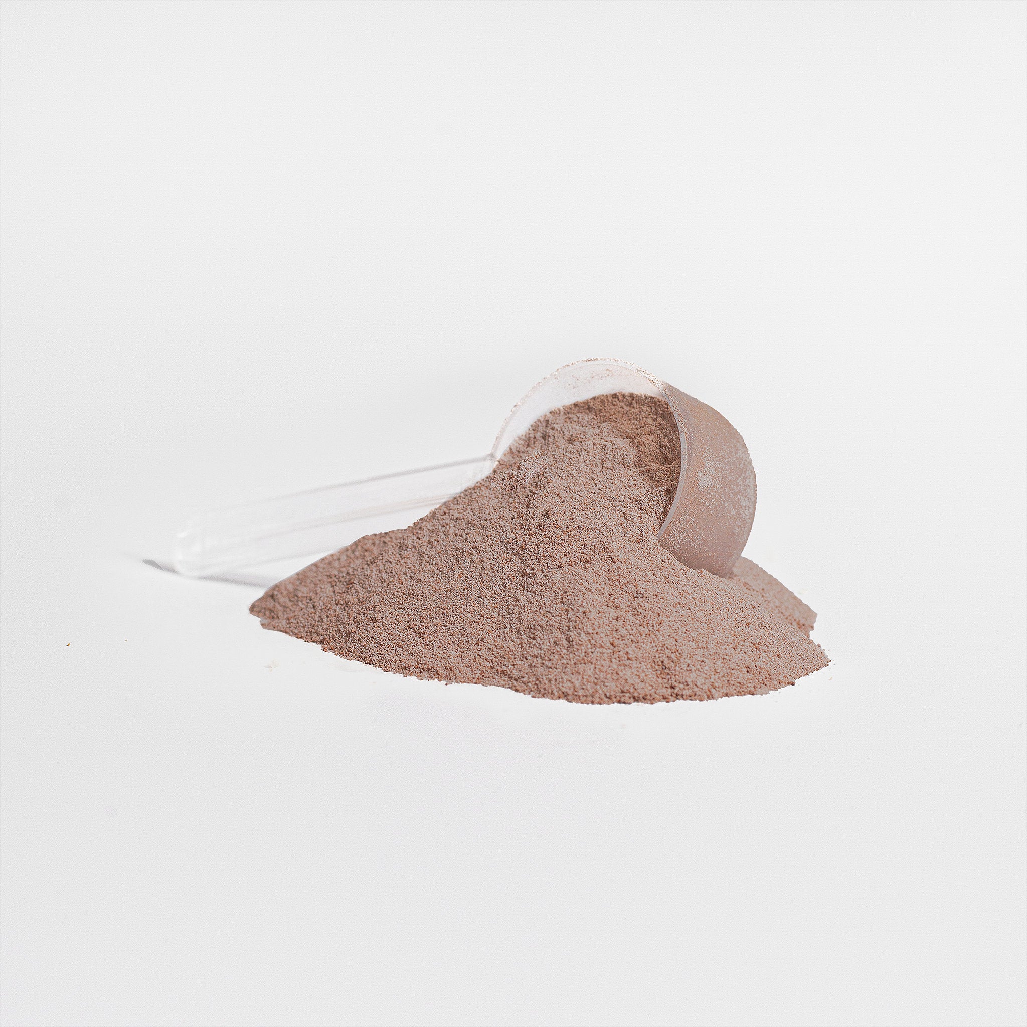 Whey Protein Isolate (Chocolate) - Member