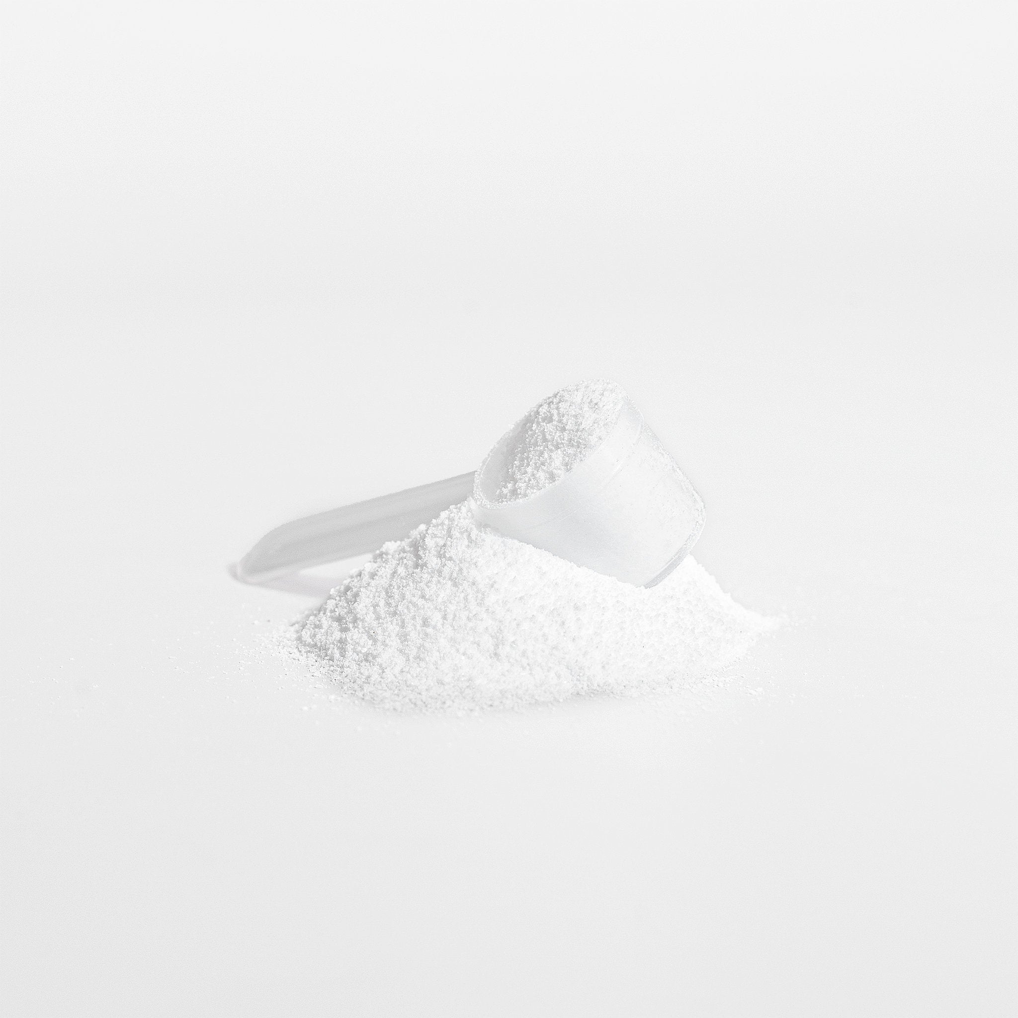 Creatine Monohydrate - Member