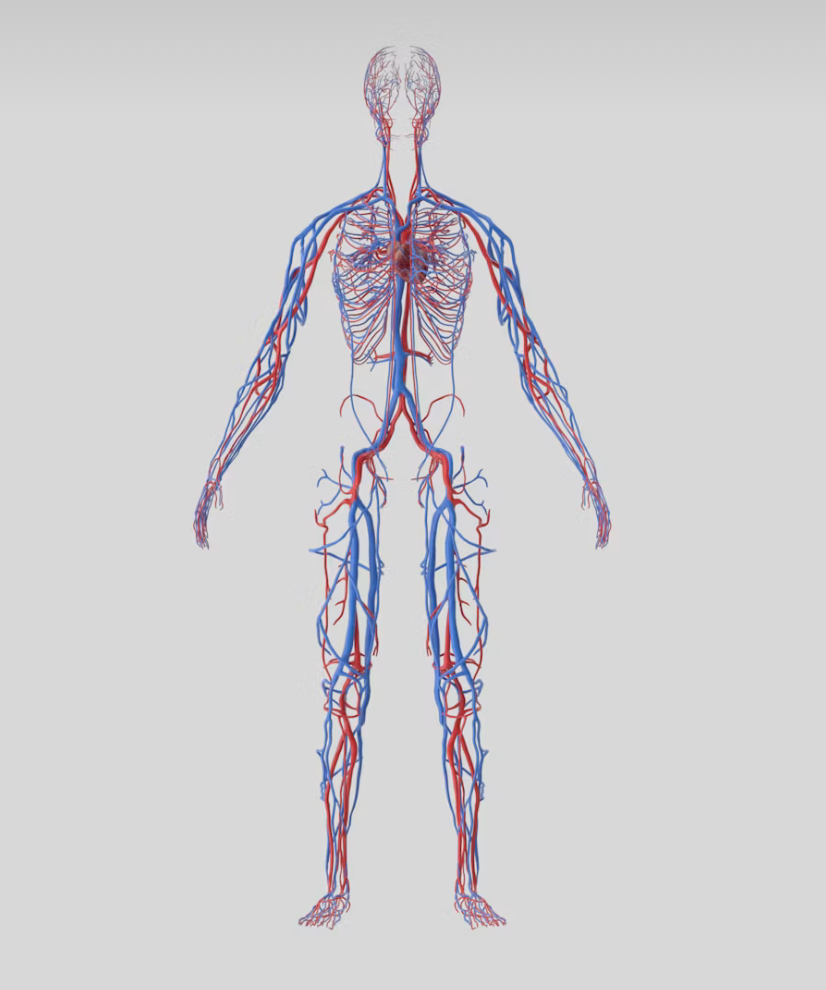 Research-backed supplement formula visual