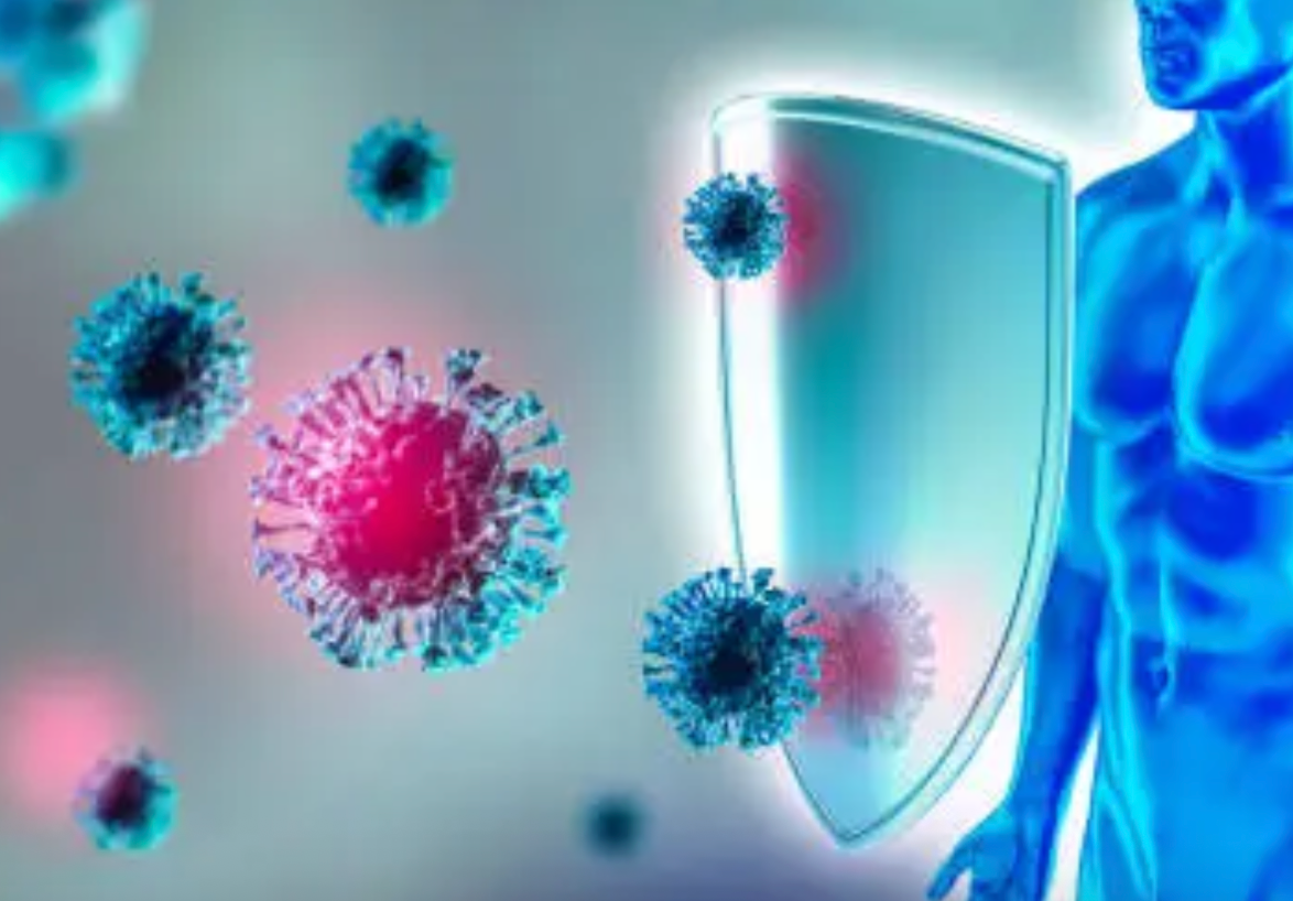 Digestive & immune resilience