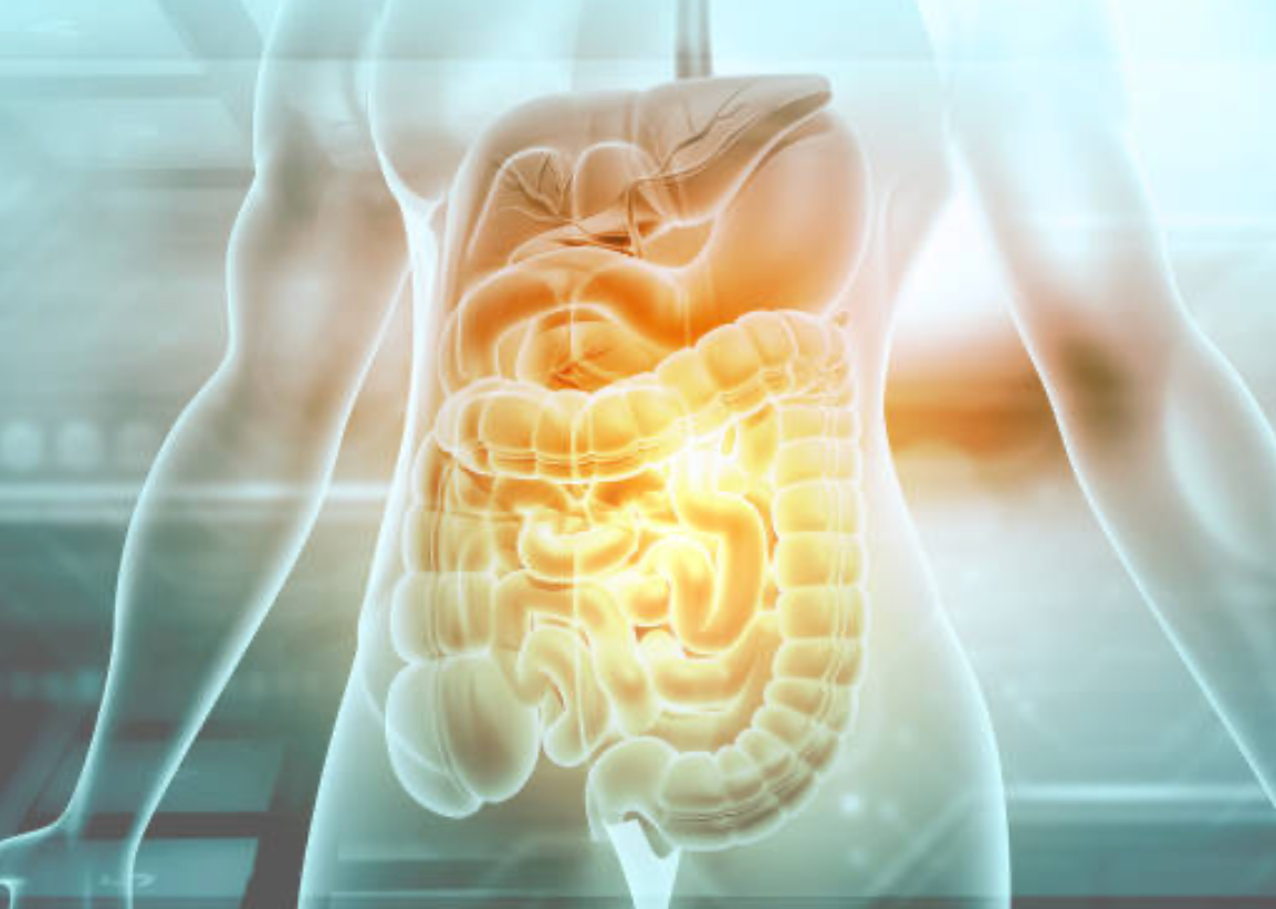 Gut comfort support