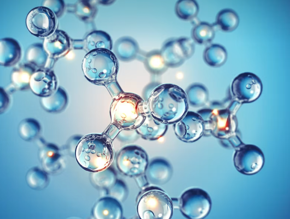 BCAA metabolization