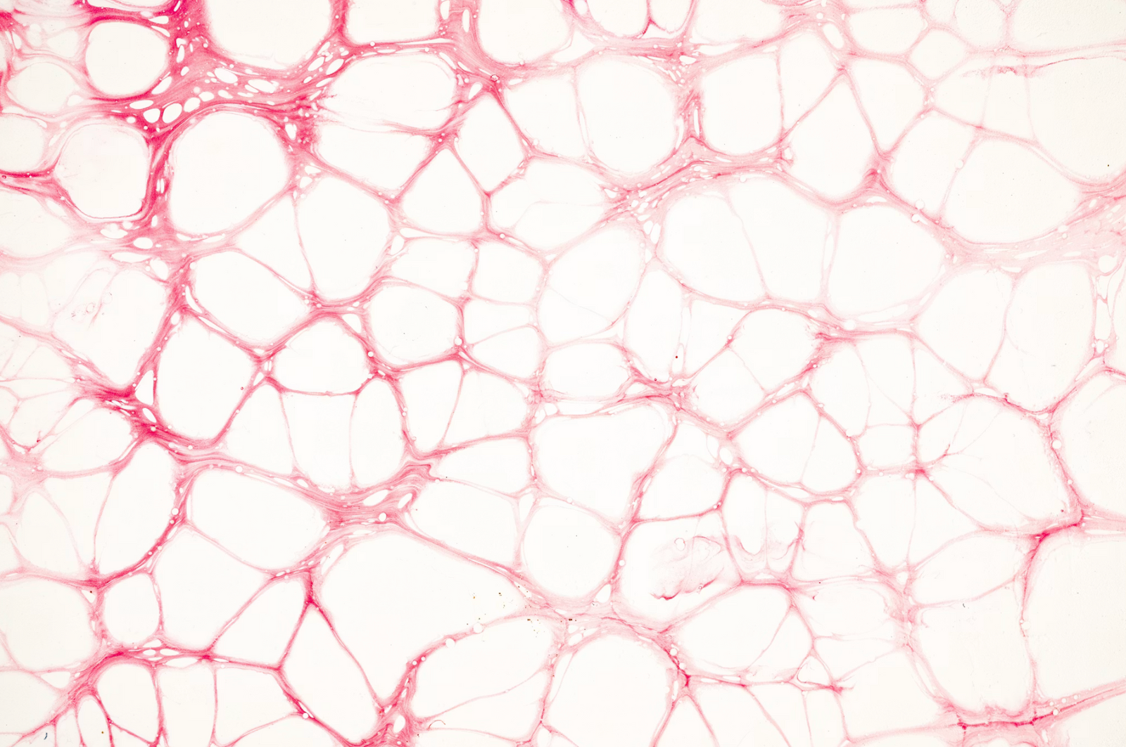 Research-backed supplement formula visual