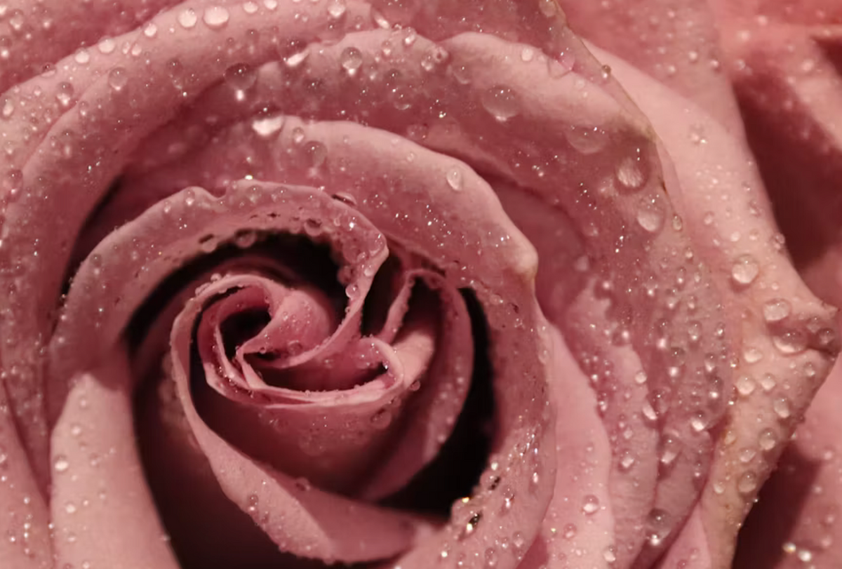 Rose water cleansing
