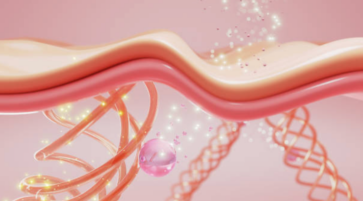Skin elasticity support