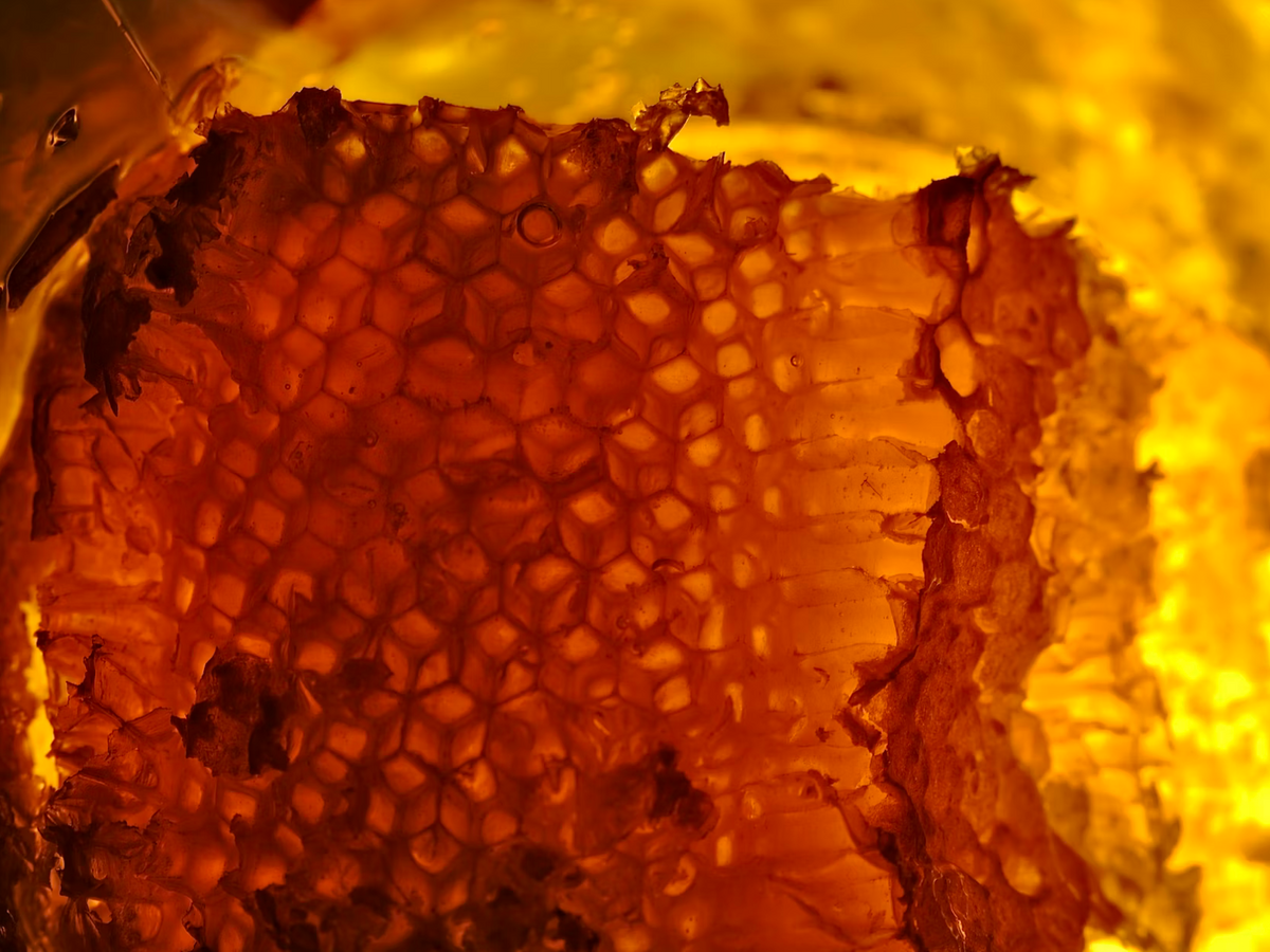 Absorb