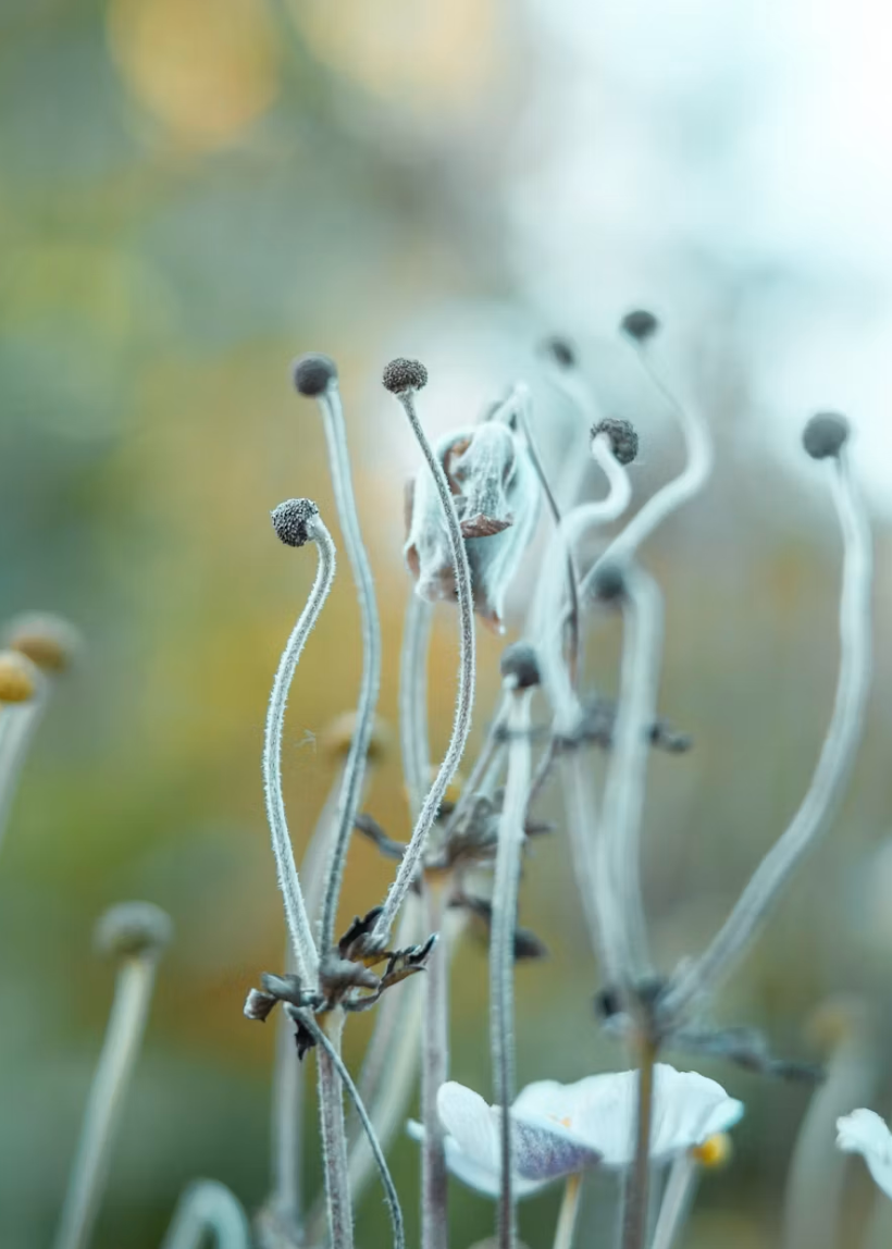 Natural energy support