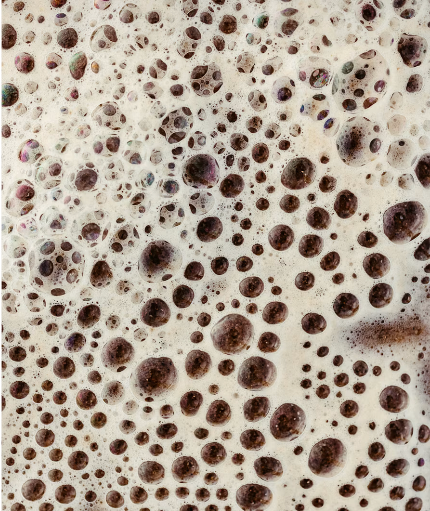 Ferment