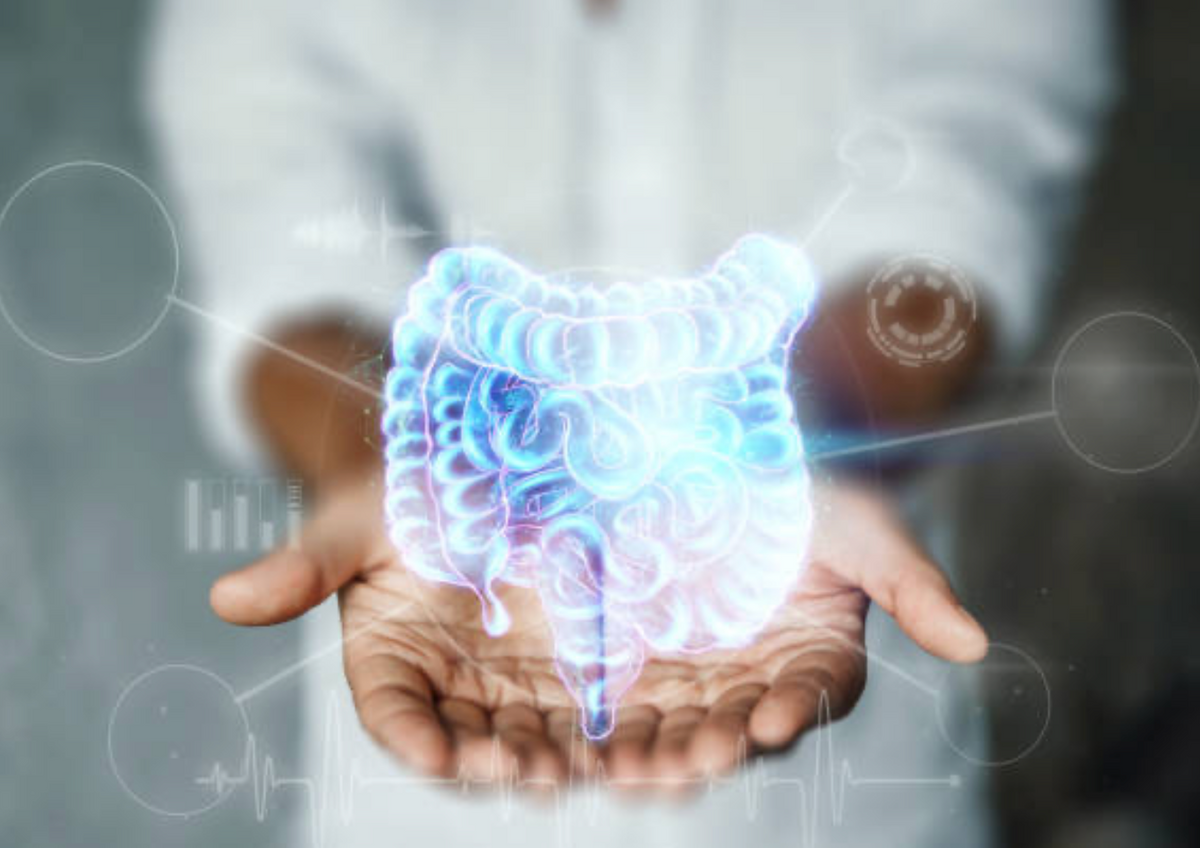Gut-immune connection