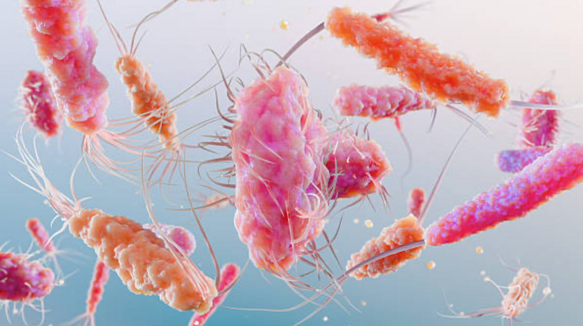 High-potency microbiome support