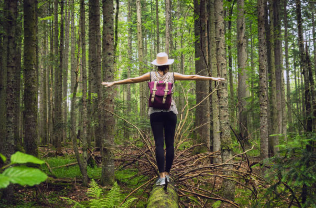 Hormonal balance support