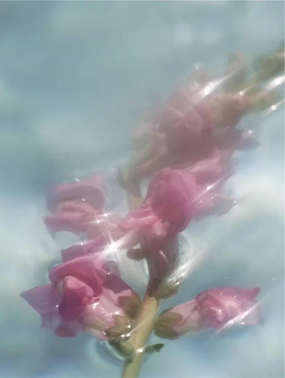 Rose water hydration