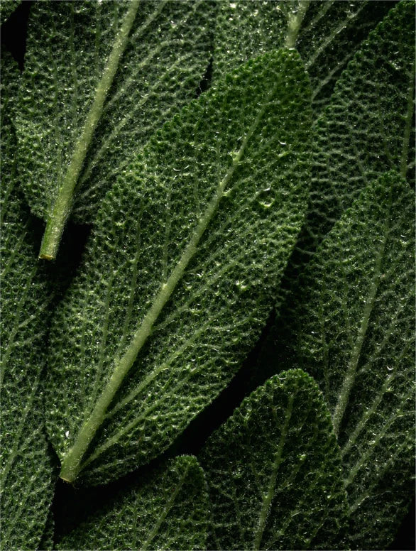 Prebiotic microbiome care