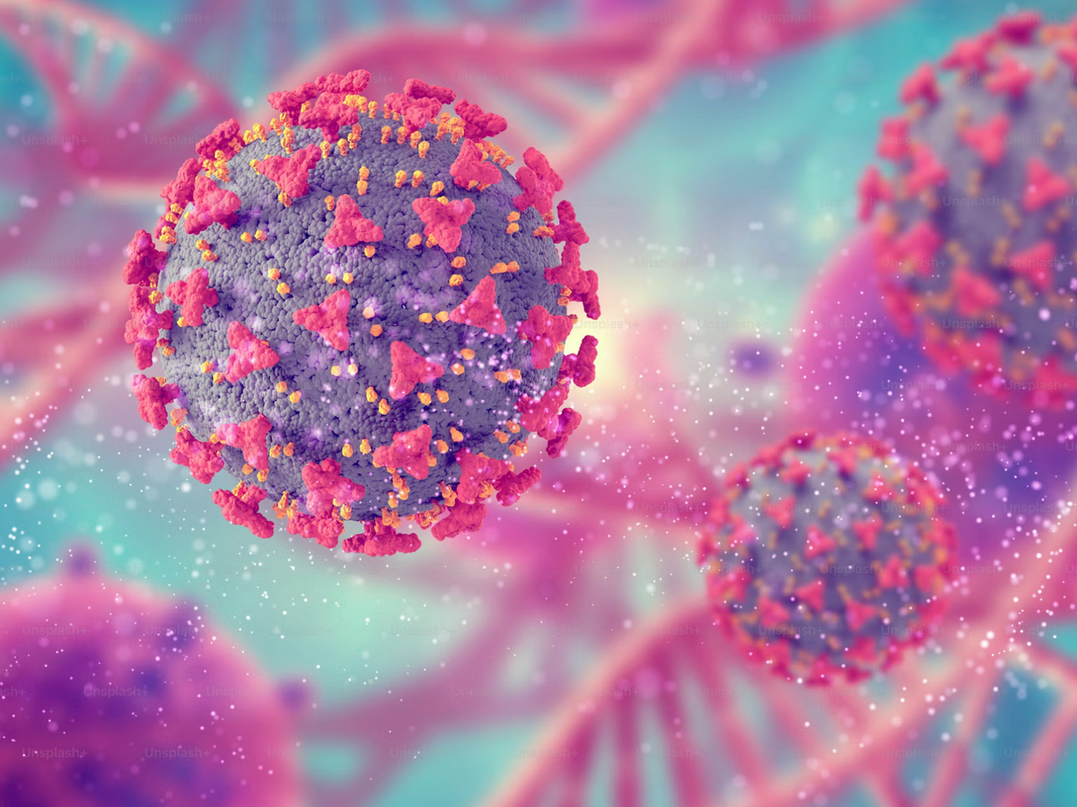 Immune & metabolic support