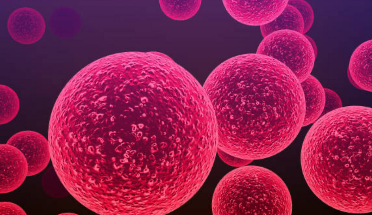 Inflammatory balance