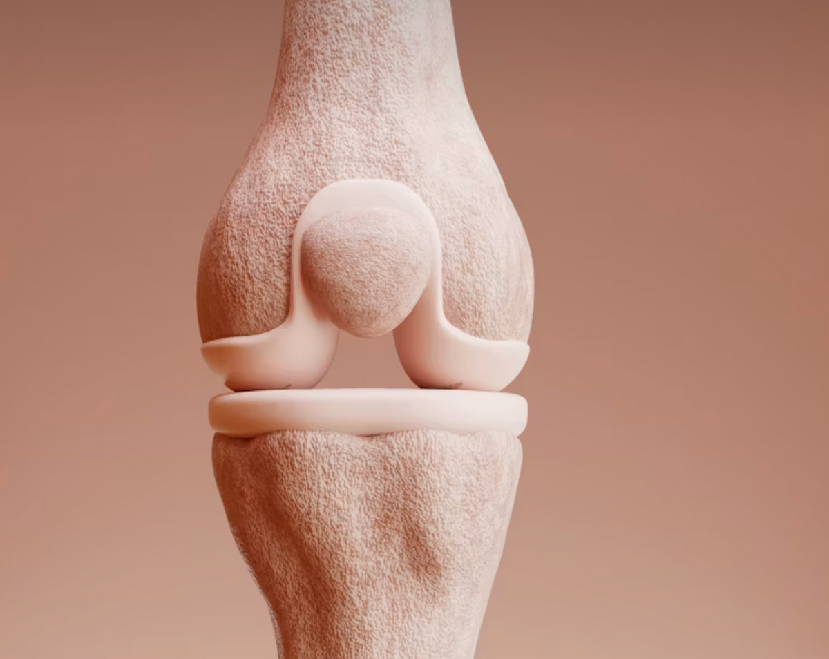Joint comfort & mobility