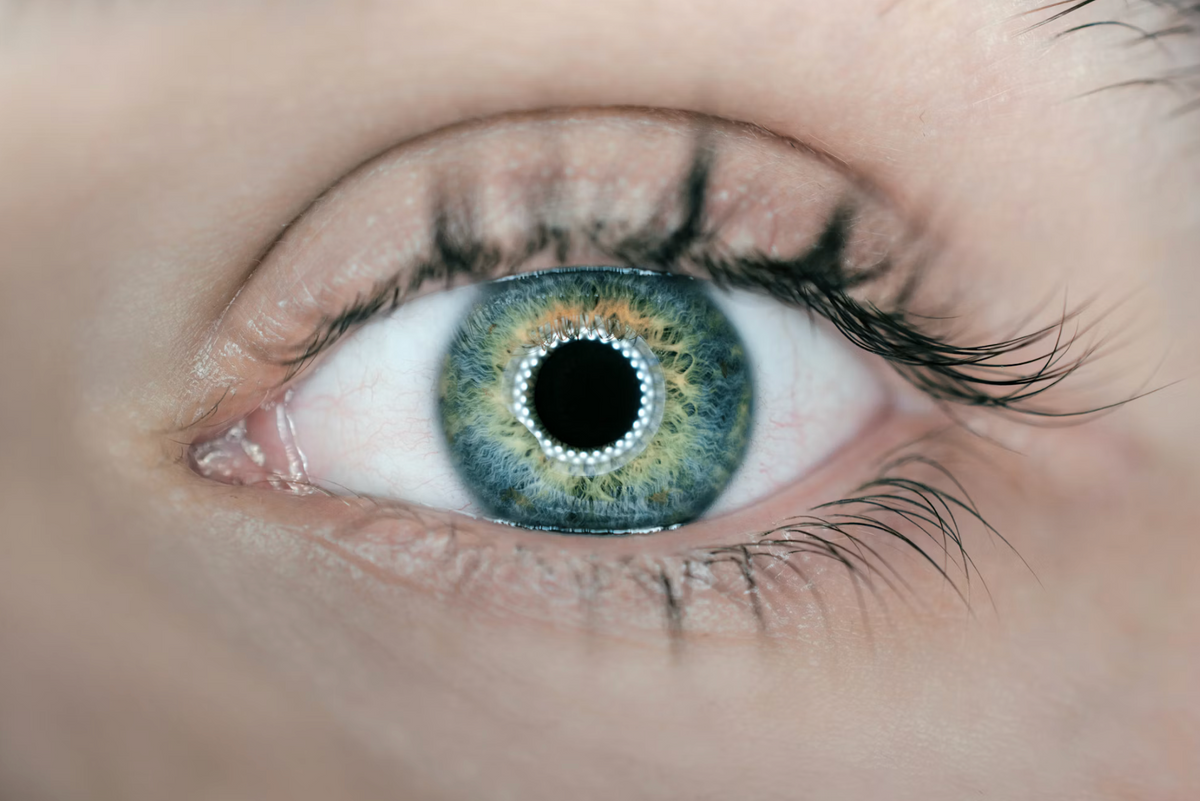 Macular lutein