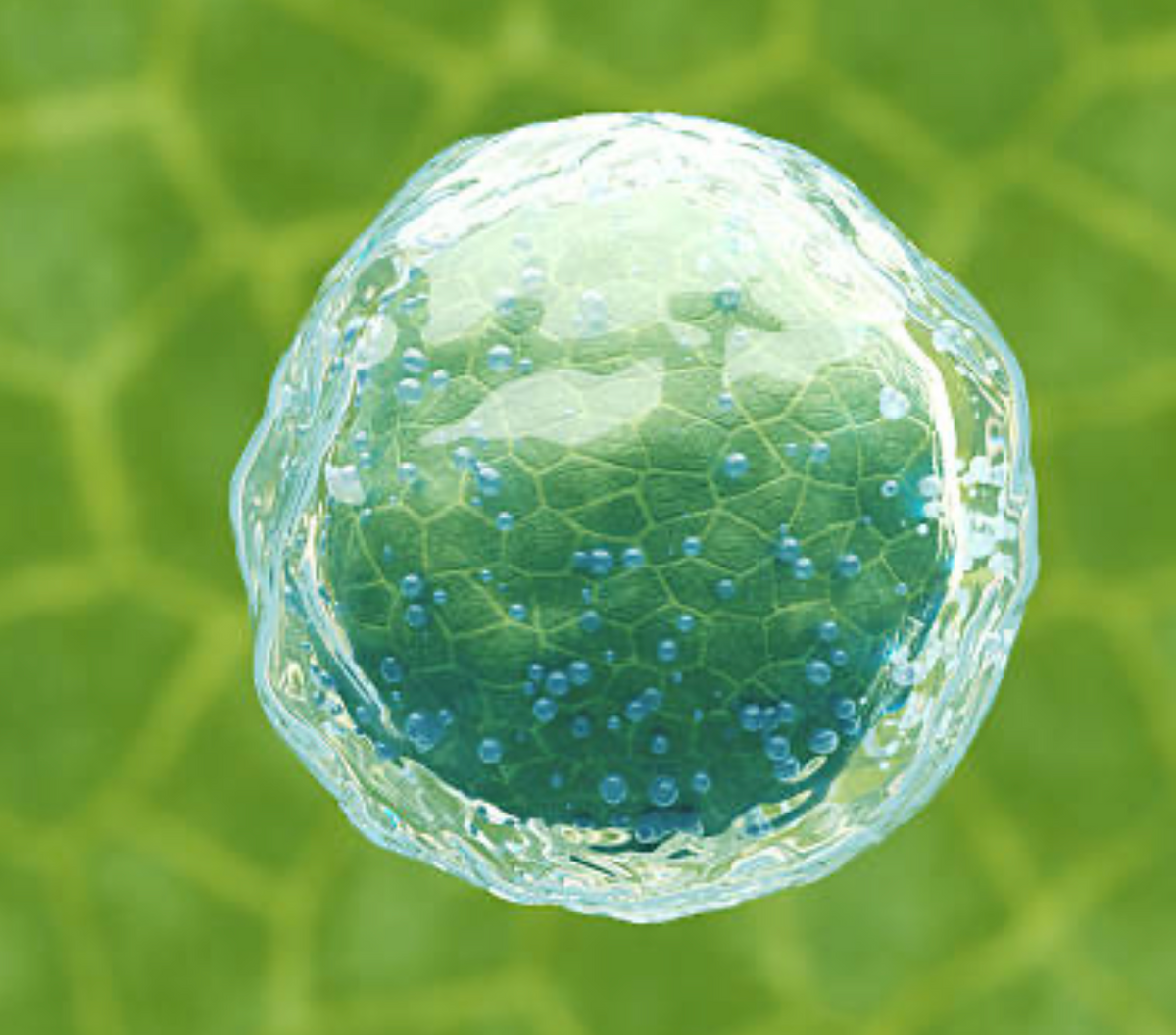 Defend