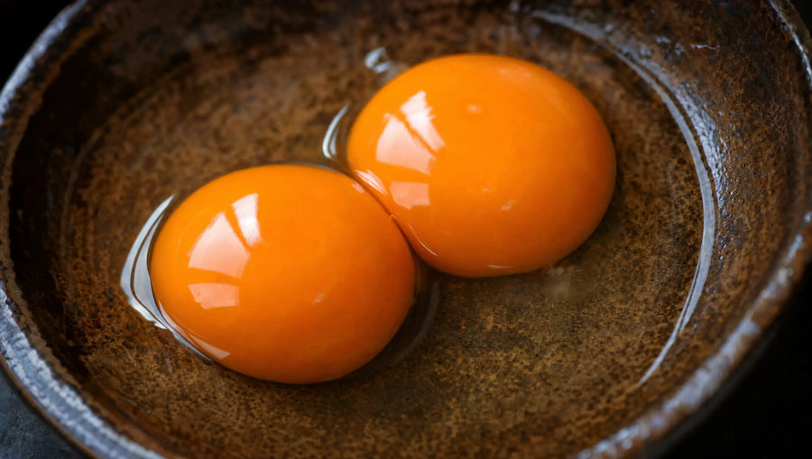 Egg Yolk