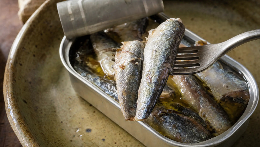 Sardines