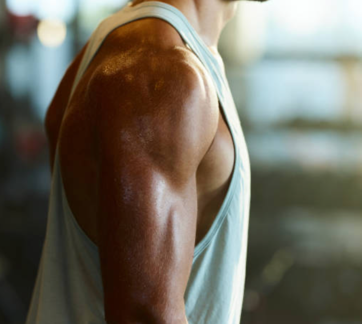 Muscle function support