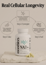 NAD+ with Quercetin & Japanese Knotweed