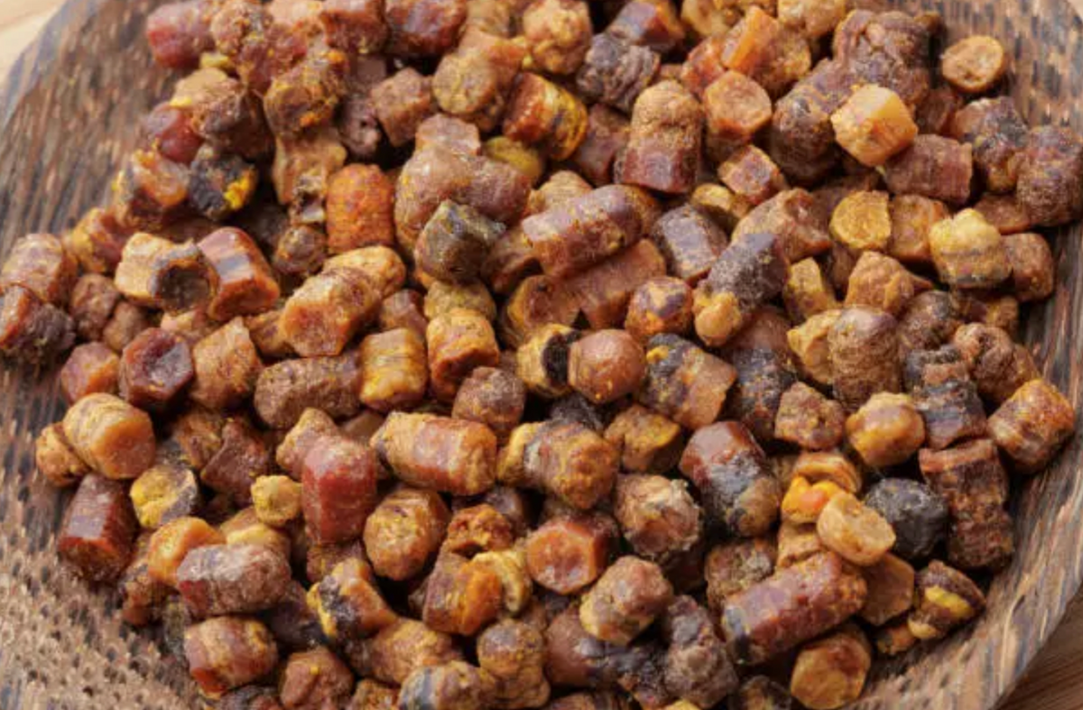 Nutrient-dense bee bread