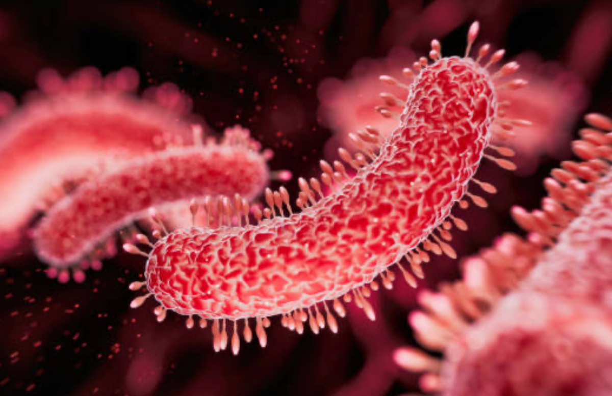 Oral microbiome balance