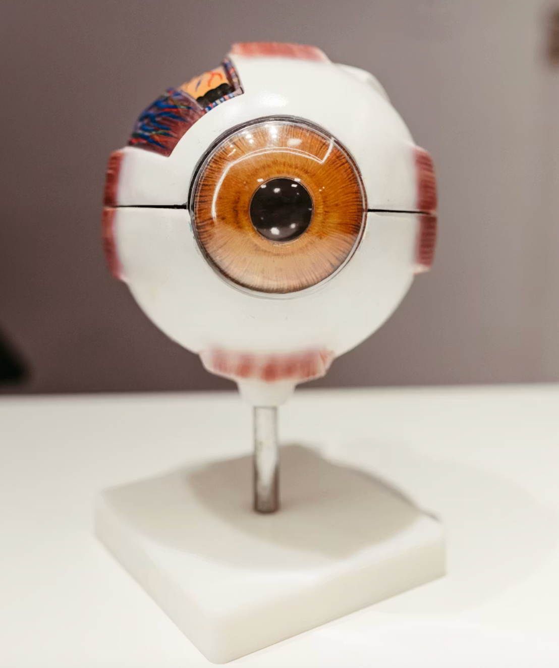 Retinal & microvascular support
