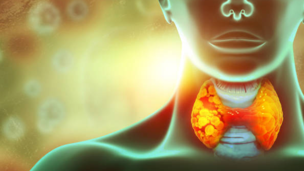 Thyroid support
